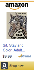 sitstayandcolor