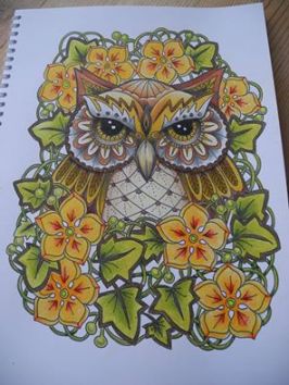 Ondine book 2, Luminance Owl